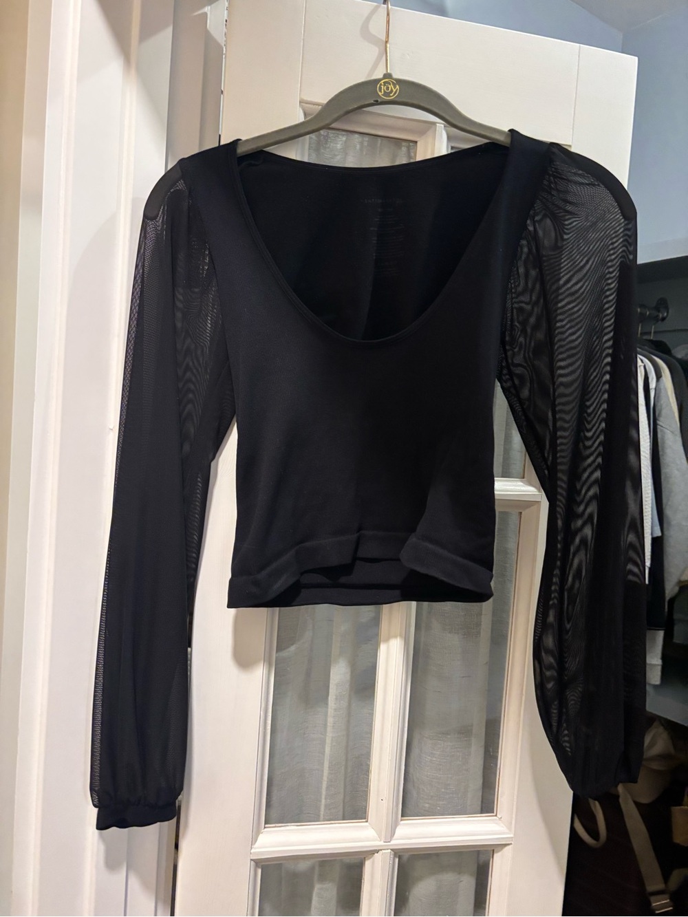 Black Mesh Sleeve Scoop Neck Crop Top